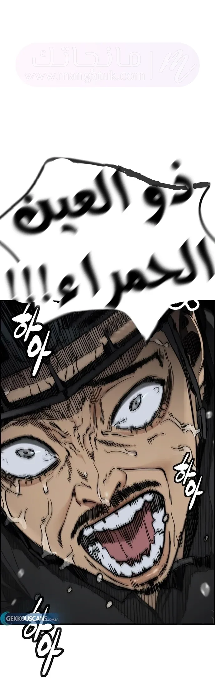 الصفحة 51