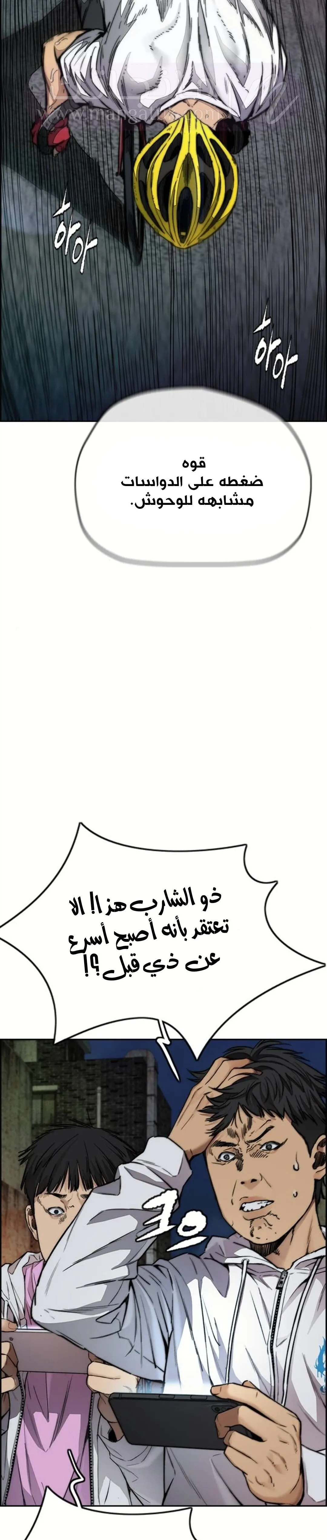 الصفحة 13
