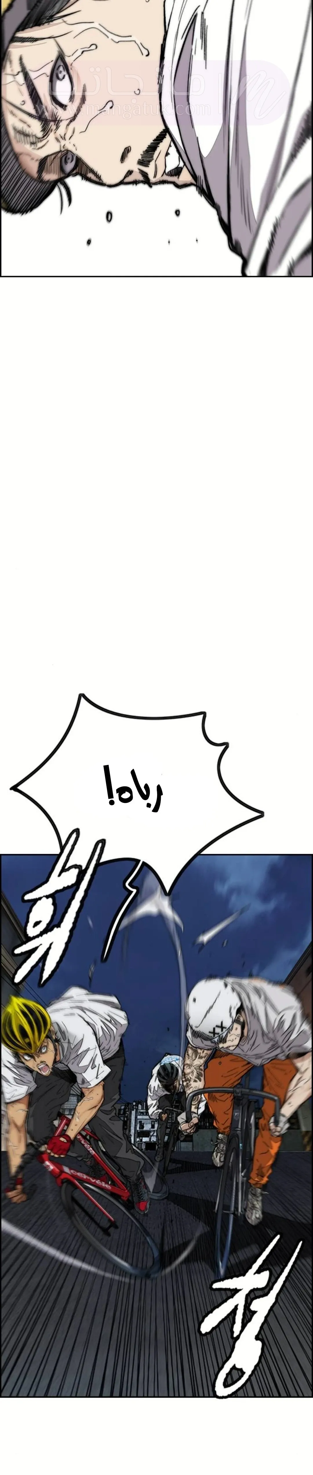 الصفحة 16