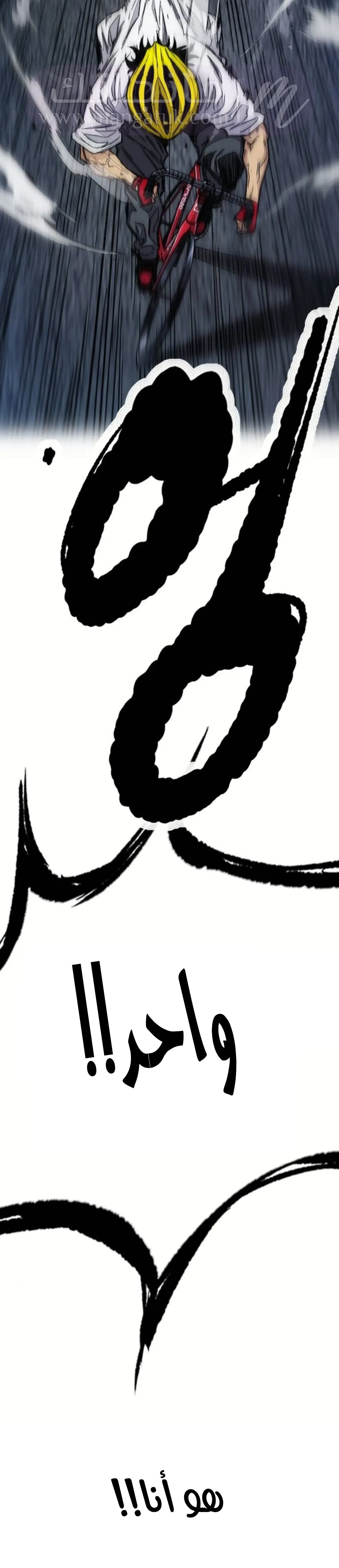 الصفحة 43