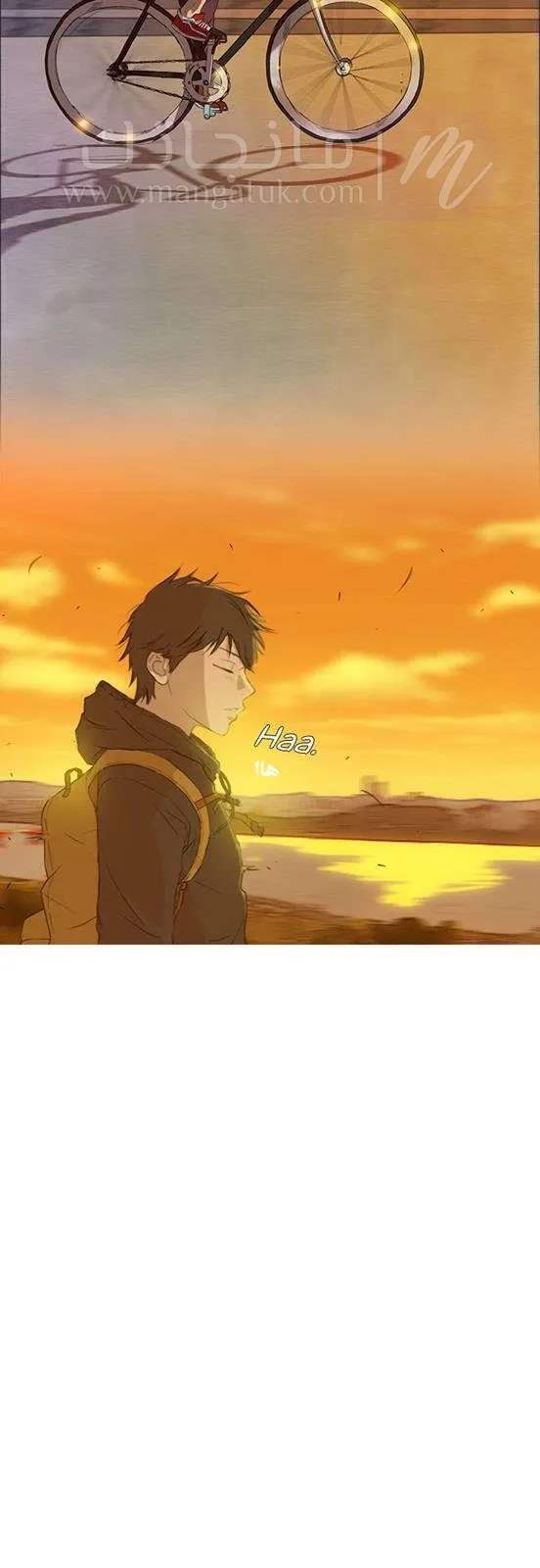 الصفحة 11