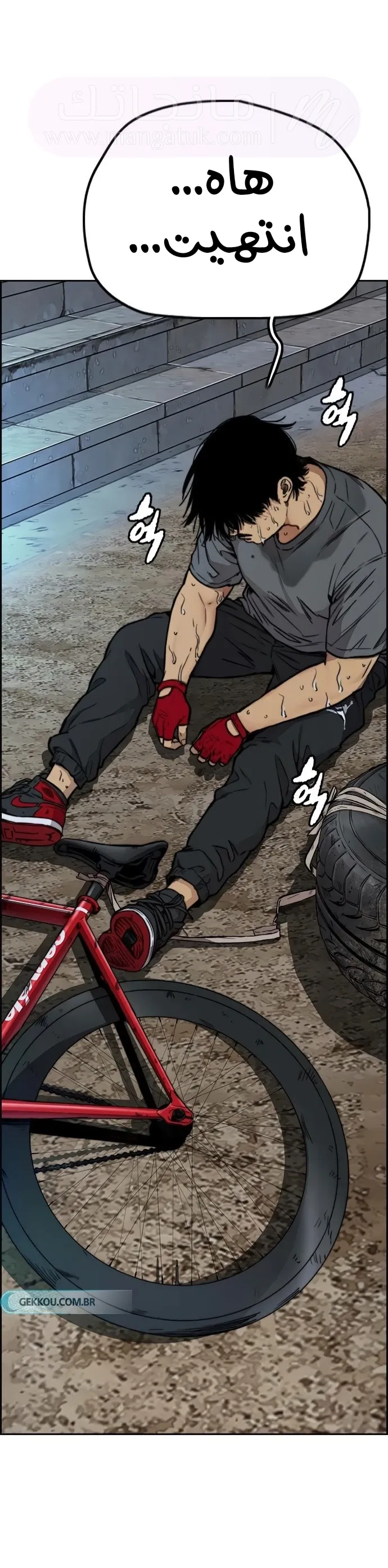 الصفحة 24
