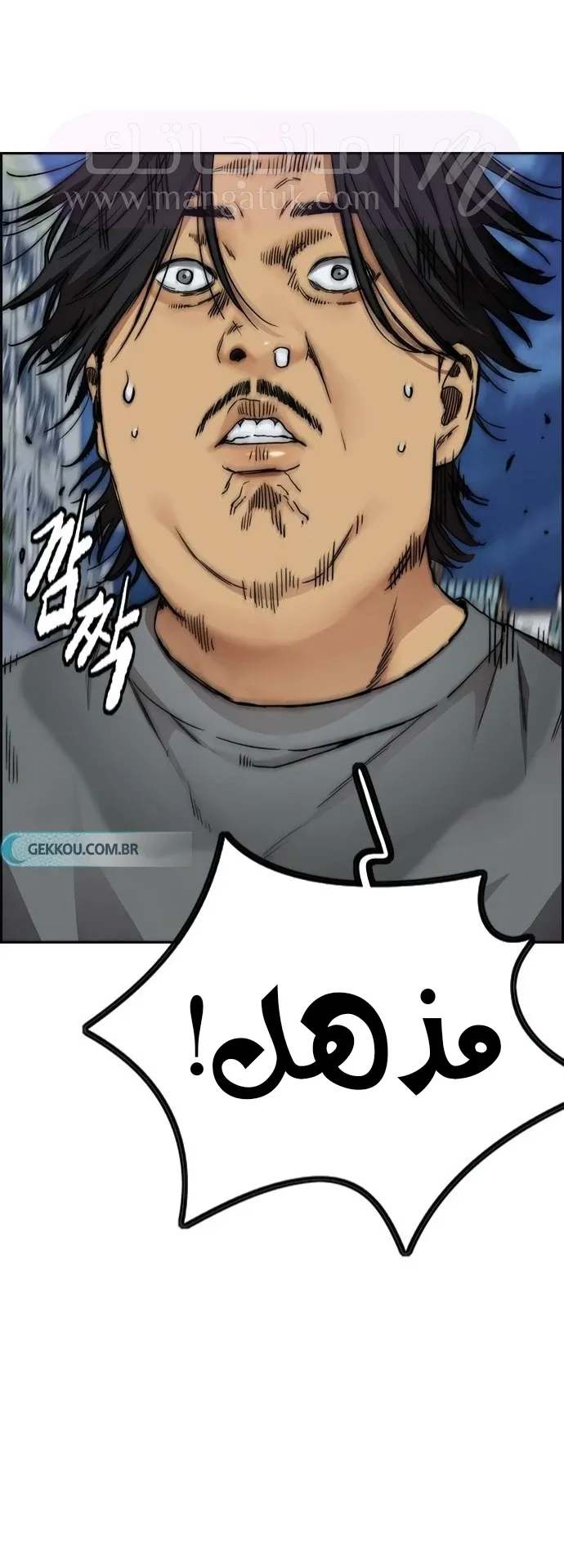 الصفحة 41