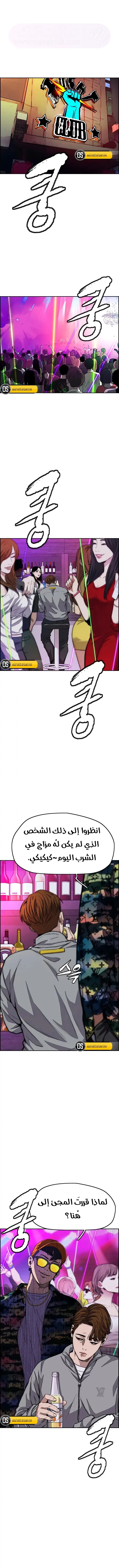 الصفحة 17