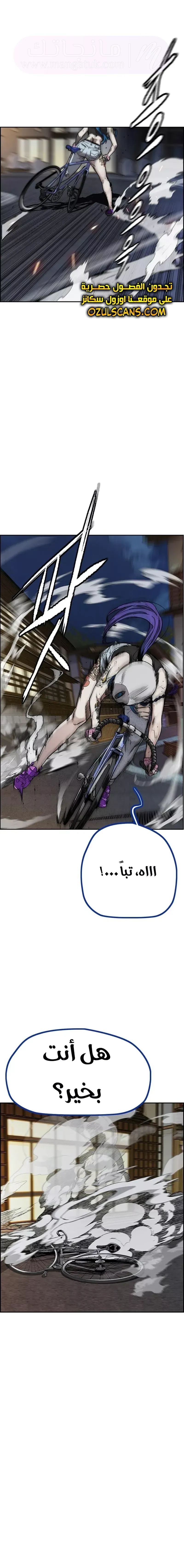 الصفحة 13