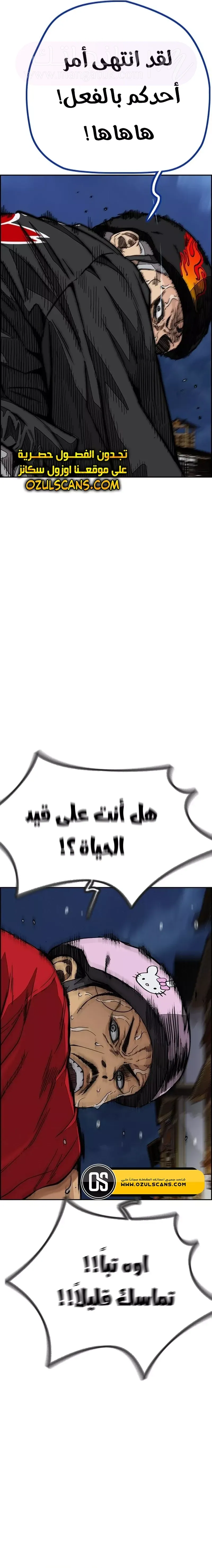 الصفحة 17