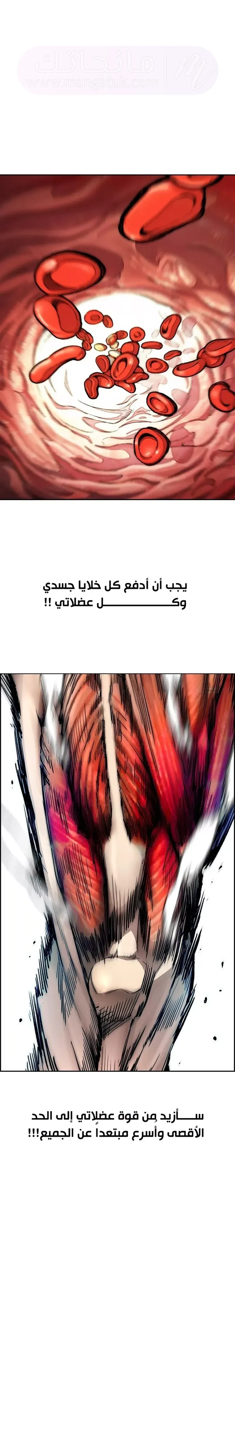 الصفحة 36