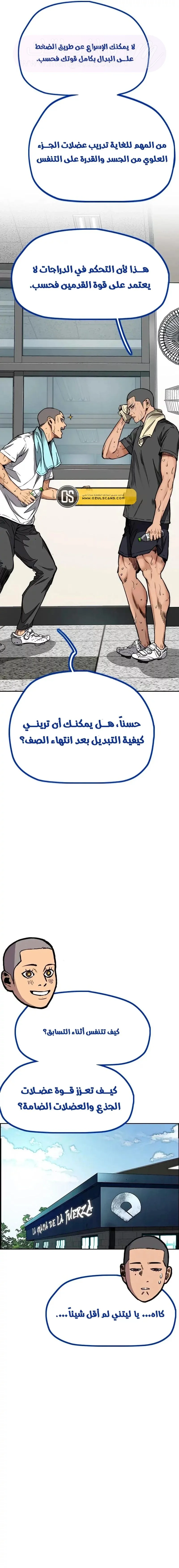 الصفحة 17