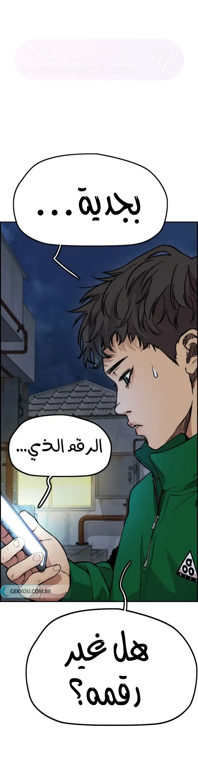 الصفحة 17