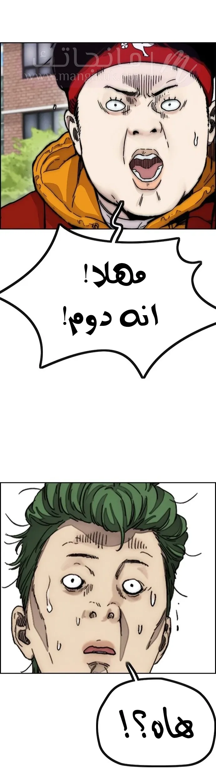 الصفحة 42
