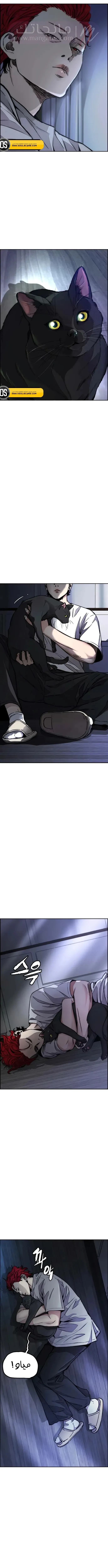 الصفحة 17