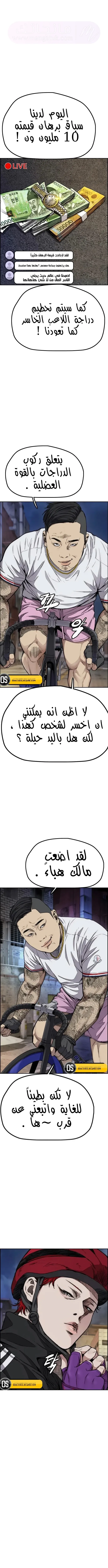 الصفحة 19