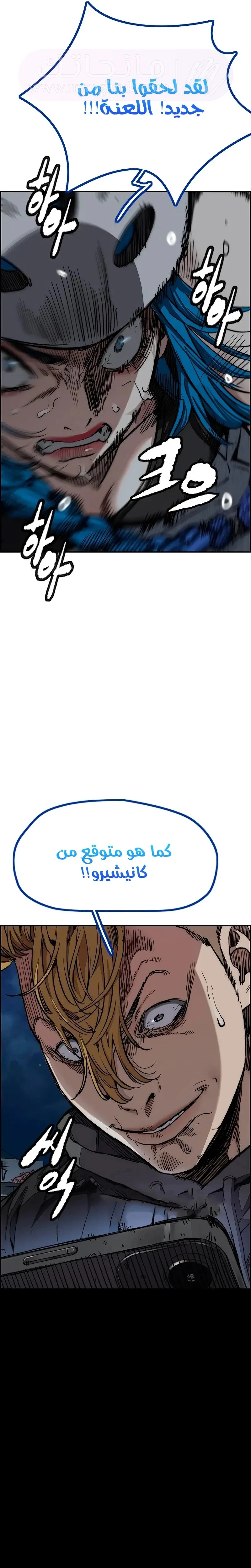 الصفحة 41