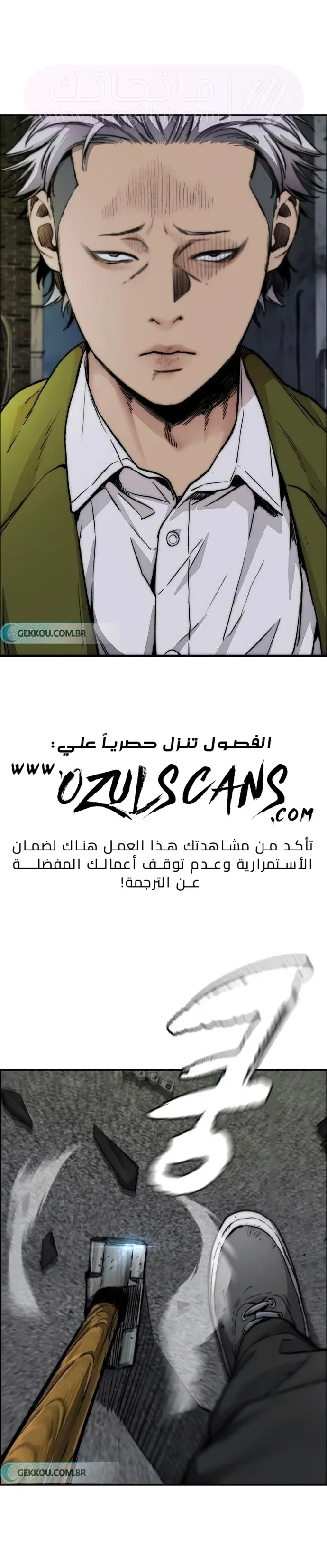 الصفحة 31