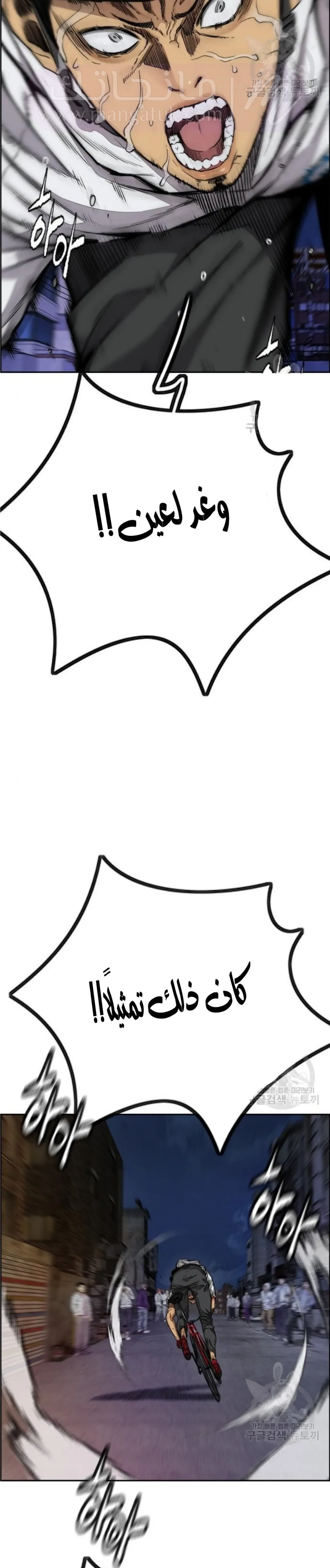 الصفحة 14
