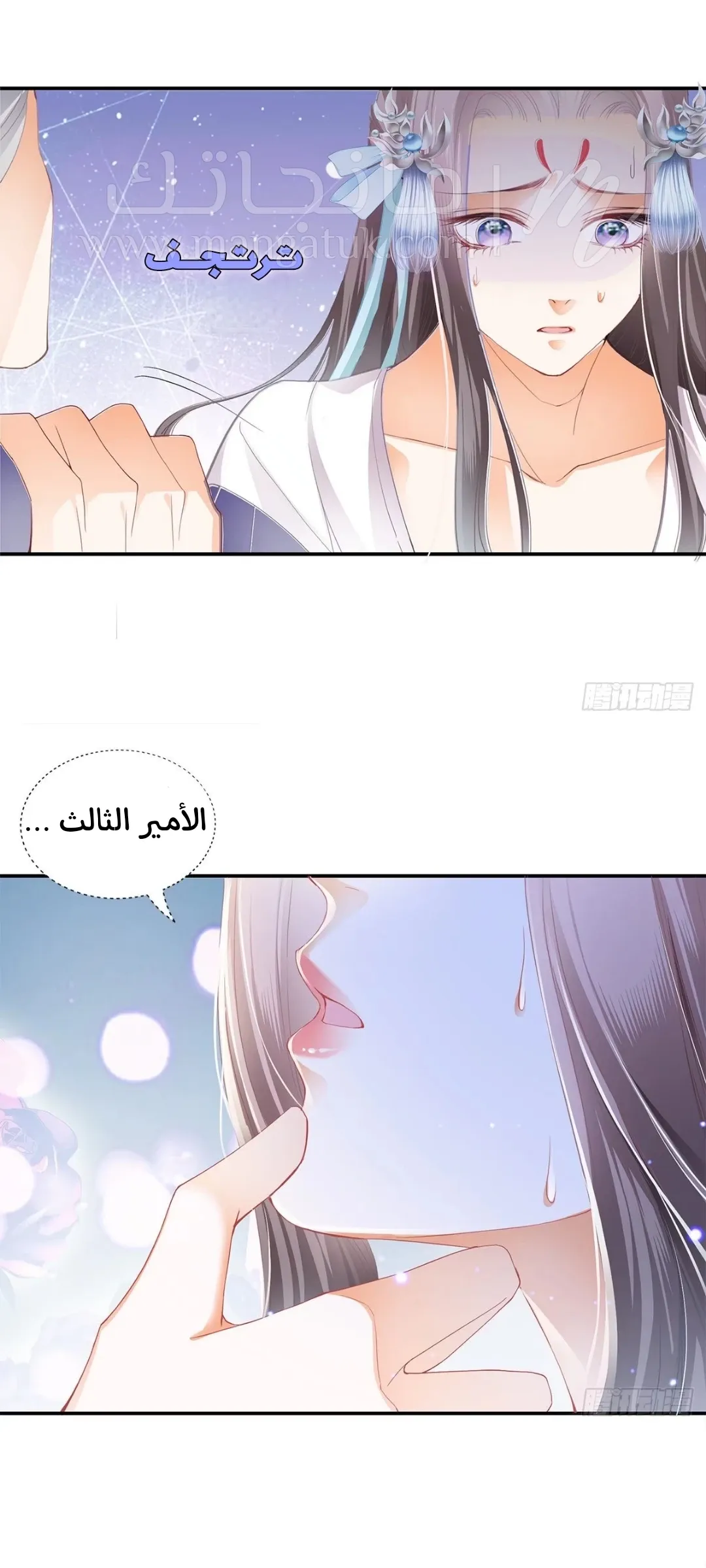 الصفحة 31
