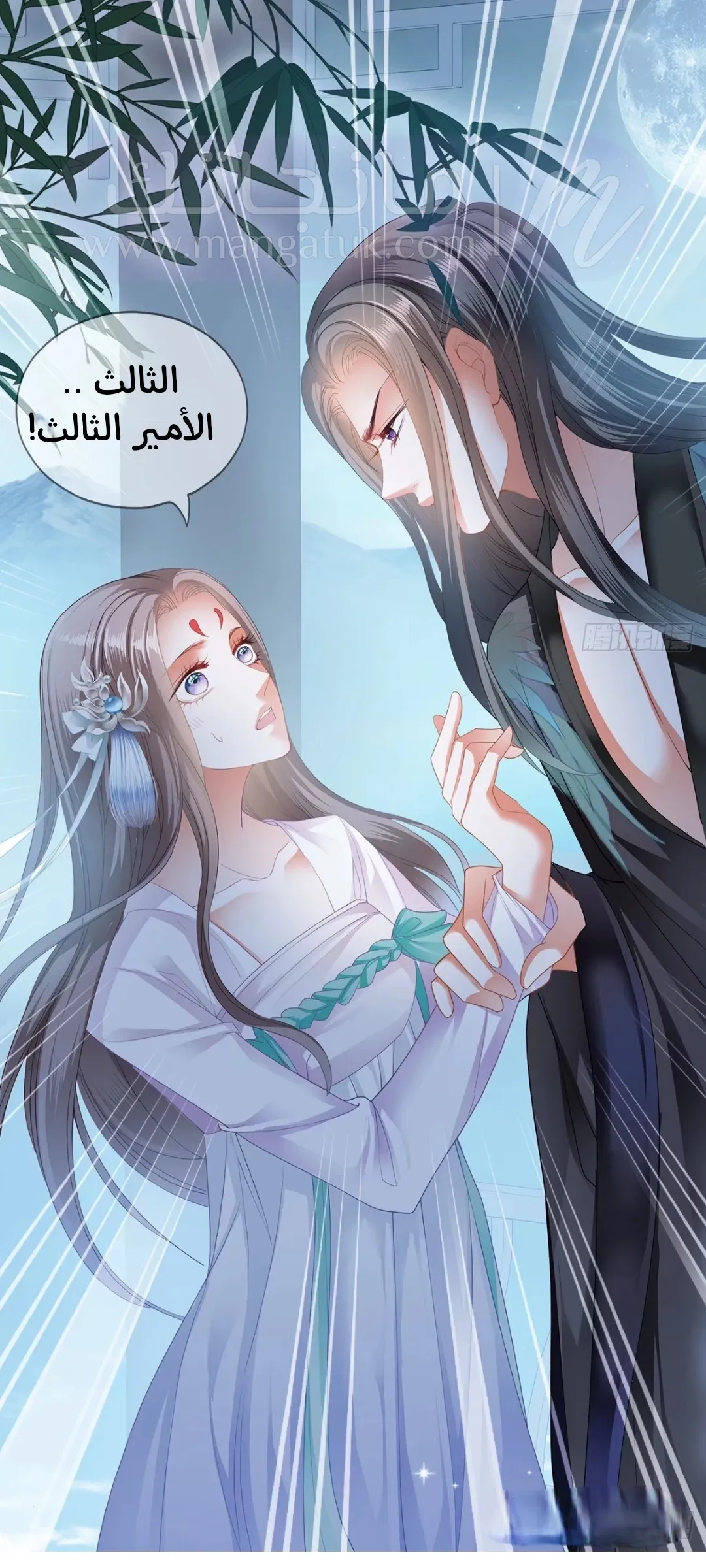 الصفحة 15