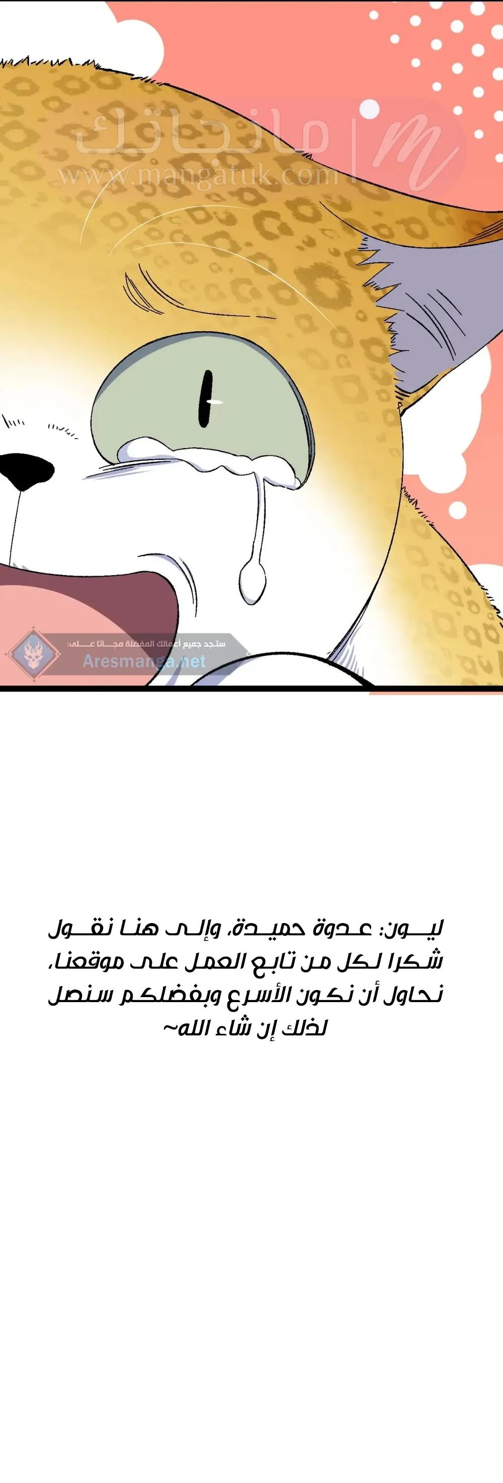 الصفحة 14