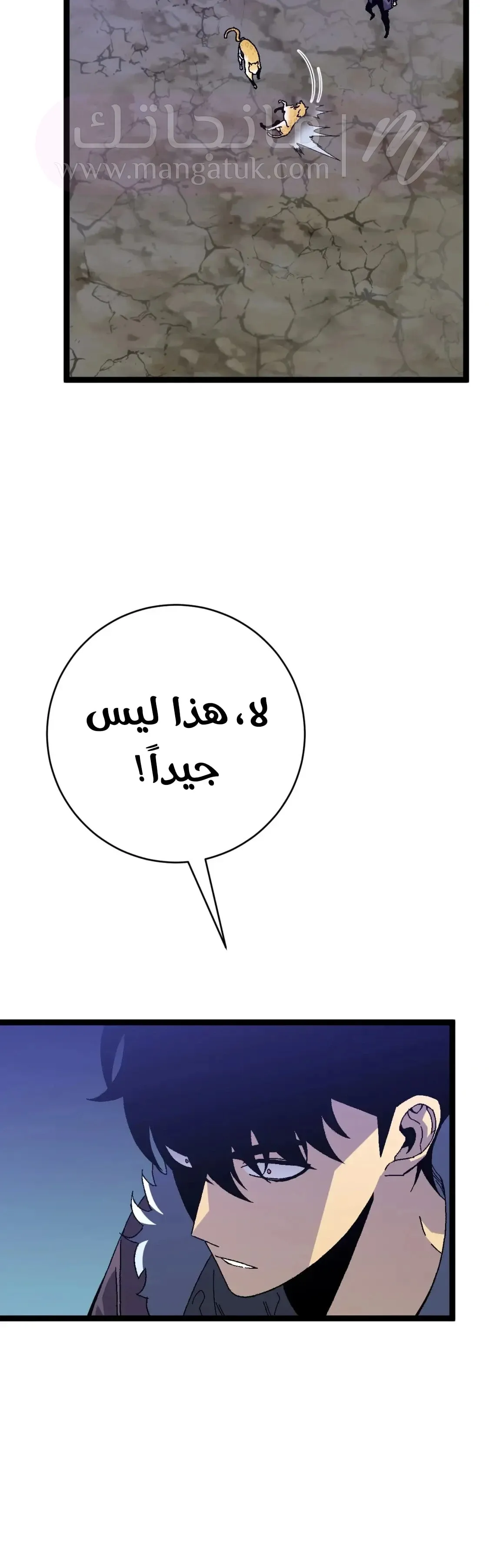 الصفحة 17
