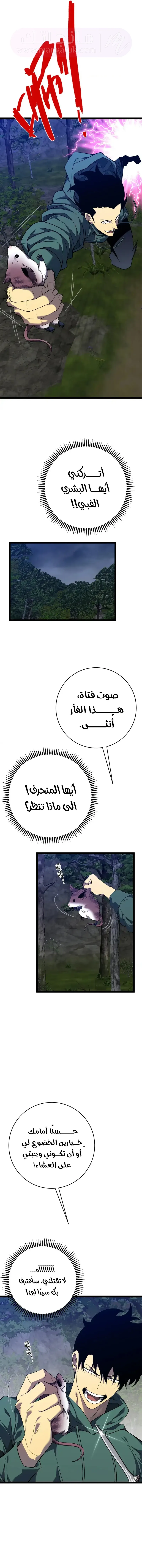 الصفحة 5