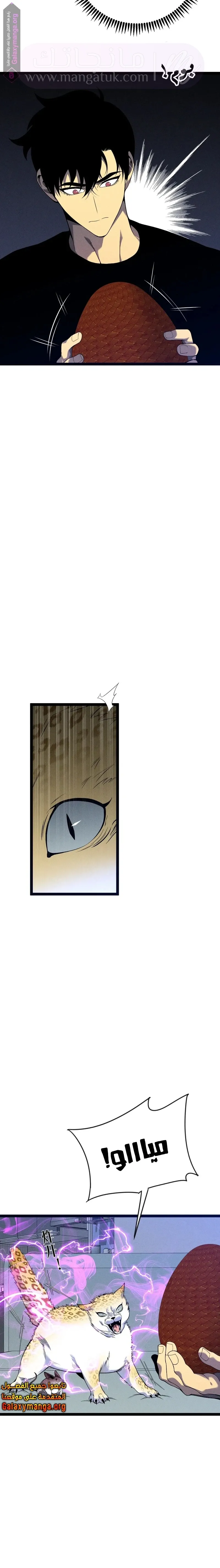 الصفحة 3