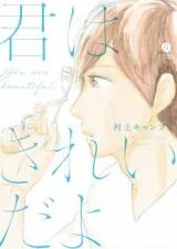 Kimi wa Kirei da yo