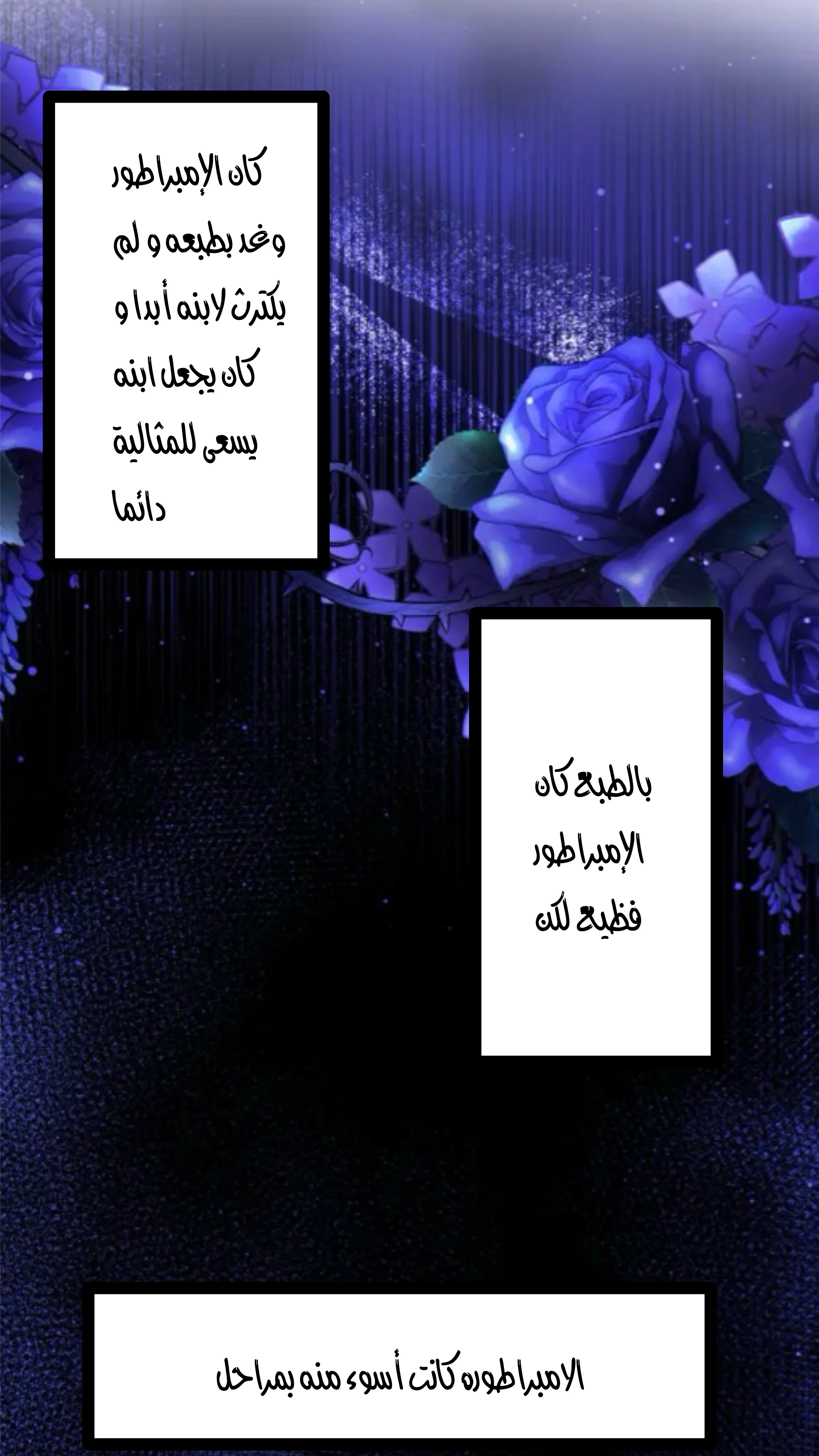 الصفحة 13