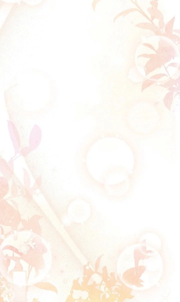 الصفحة 24