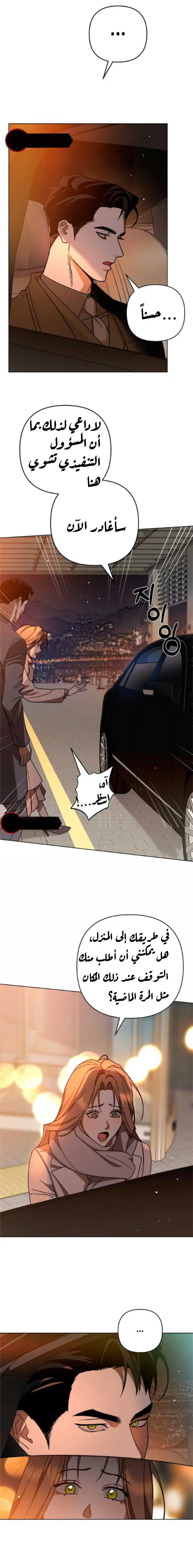 الصفحة 12