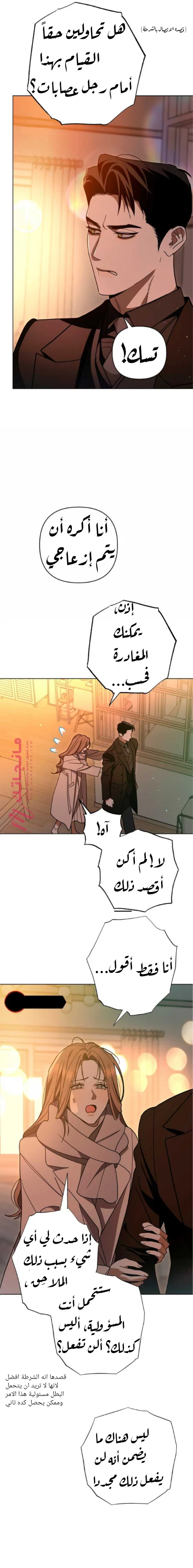 الصفحة 13