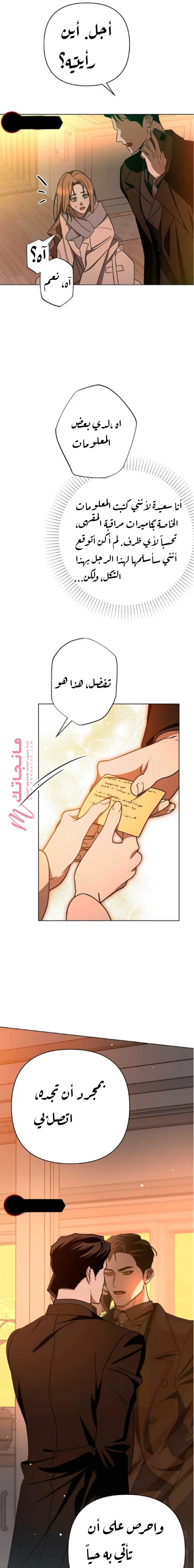الصفحة 17