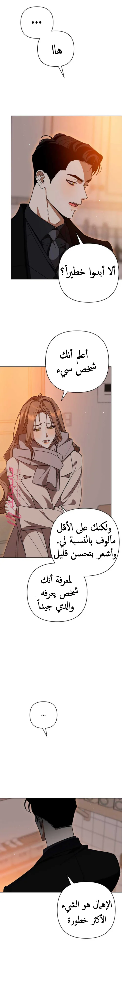 الصفحة 8