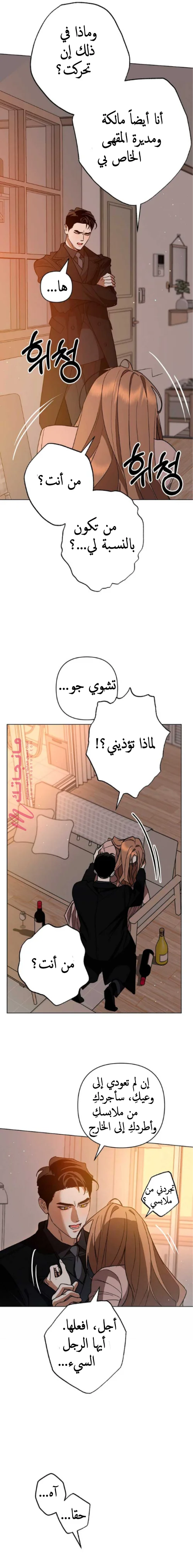 الصفحة 11