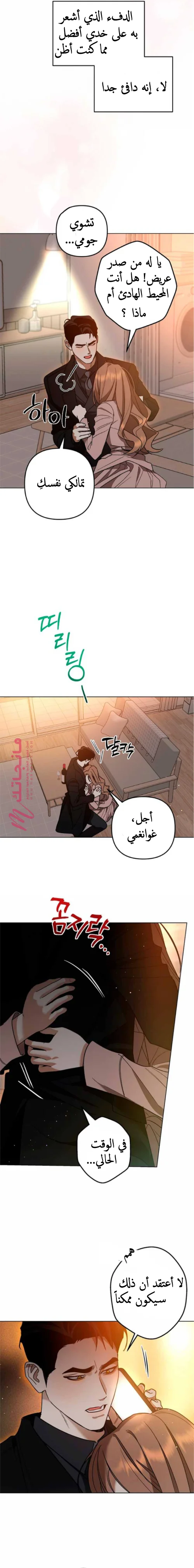الصفحة 14