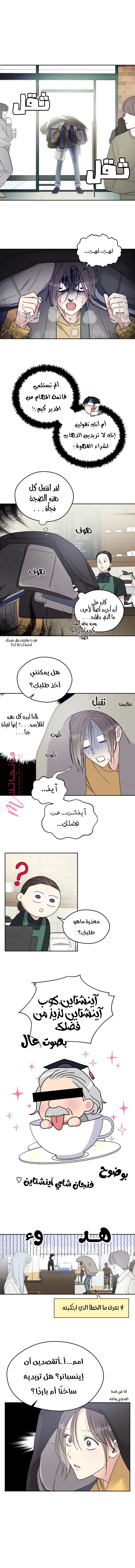 الصفحة 17