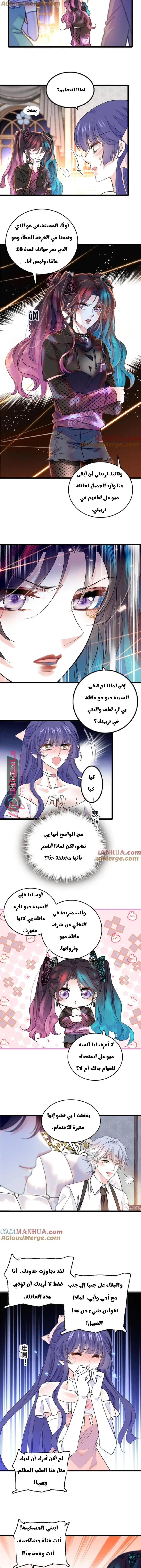 الصفحة 3