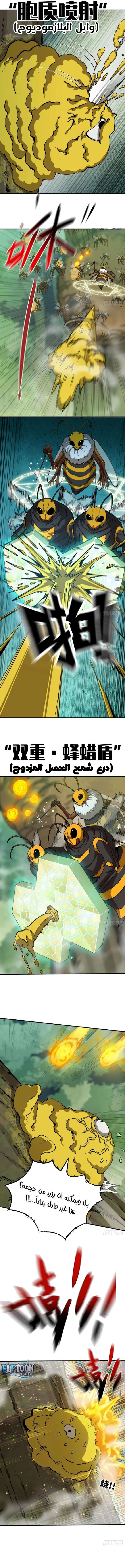الصفحة 3