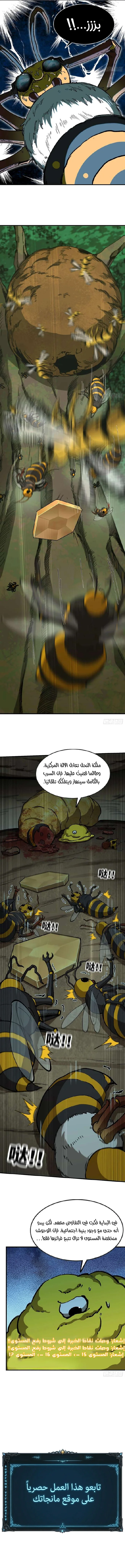 الصفحة 12