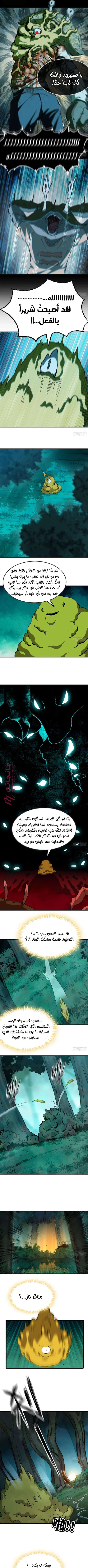 الصفحة 3