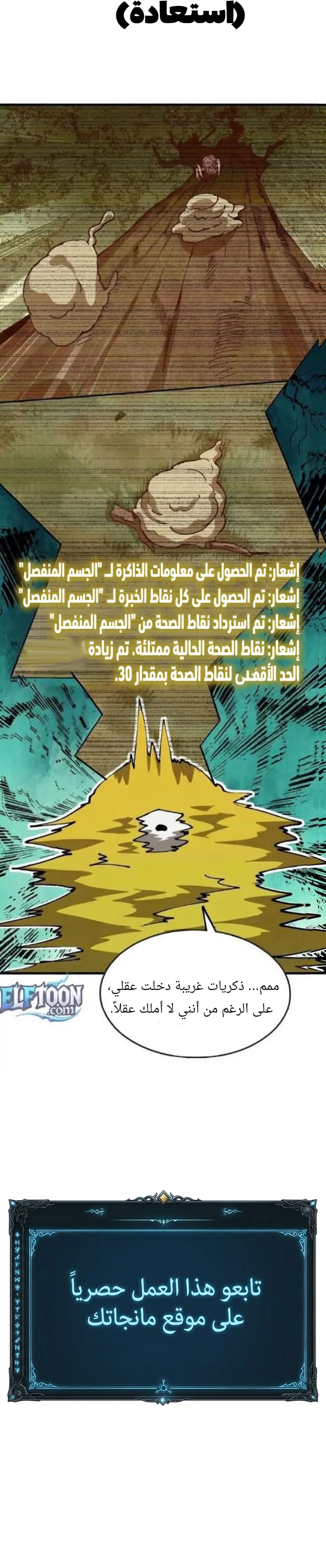 الصفحة 11