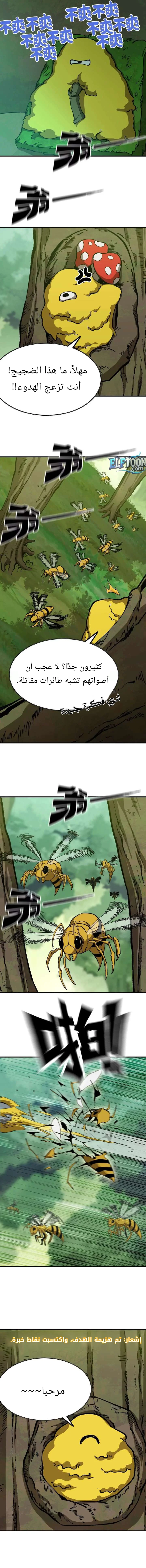 الصفحة 3