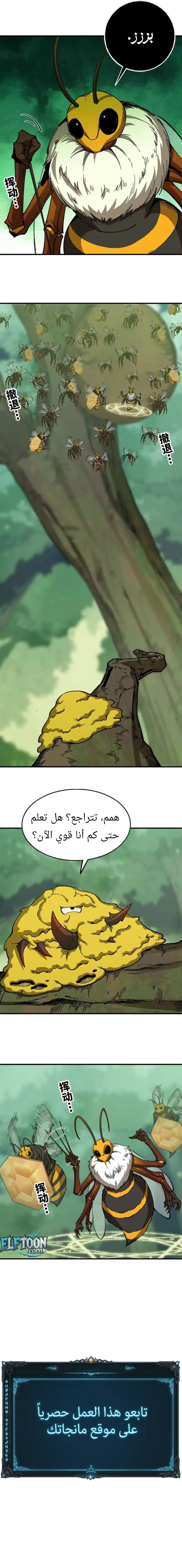 الصفحة 11