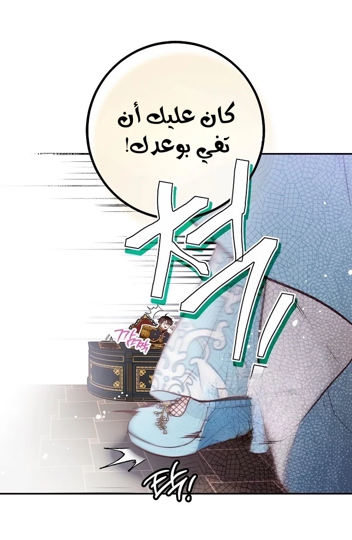 الصفحة 27
