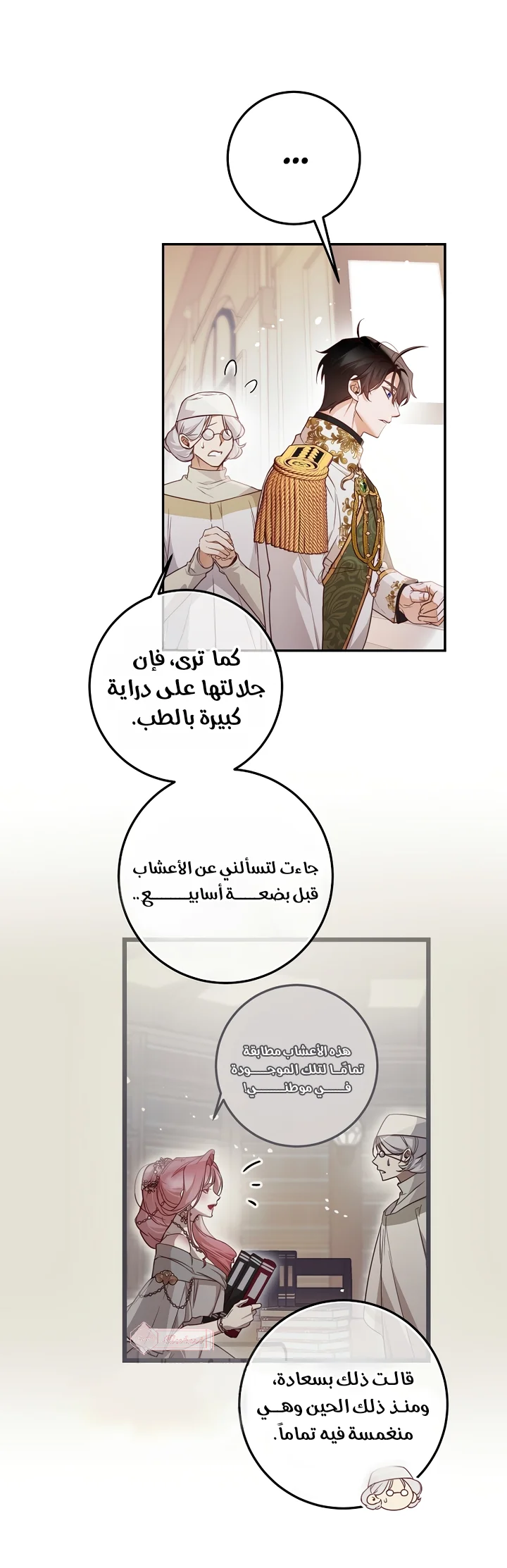 الصفحة 13