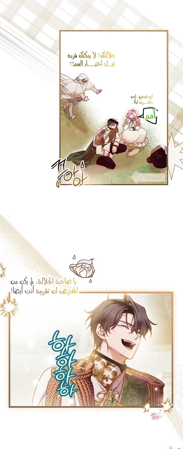 الصفحة 25