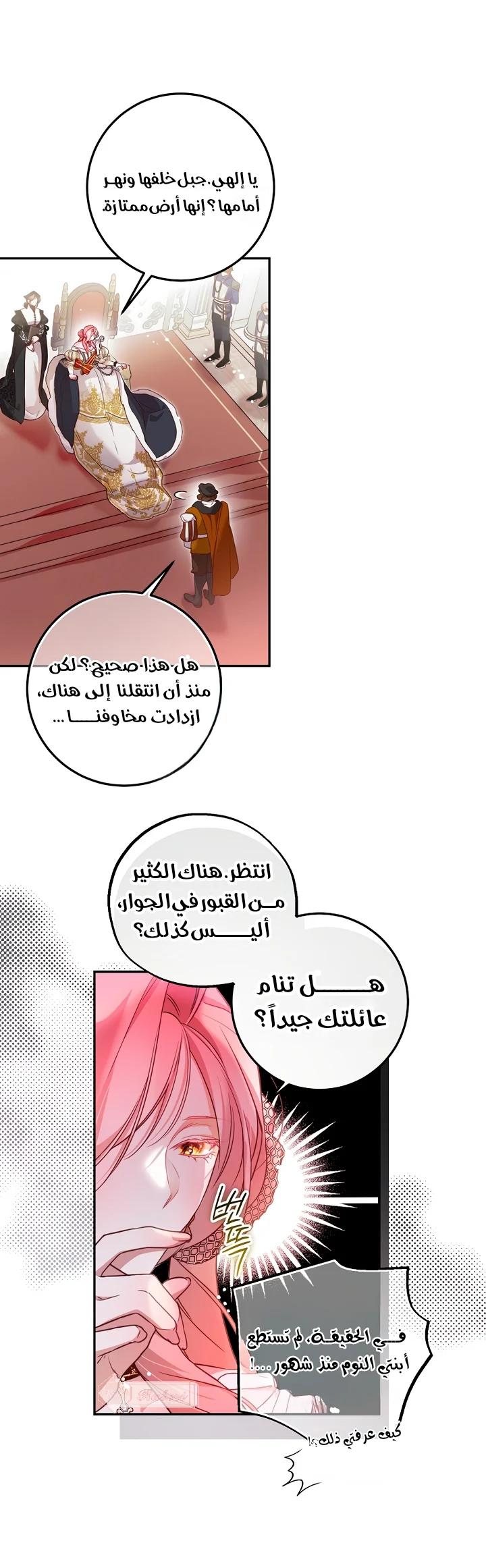 الصفحة 29