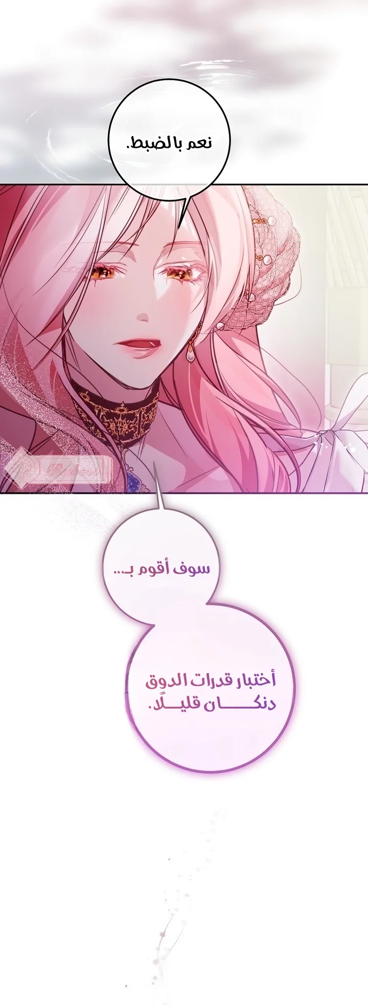 الصفحة 40