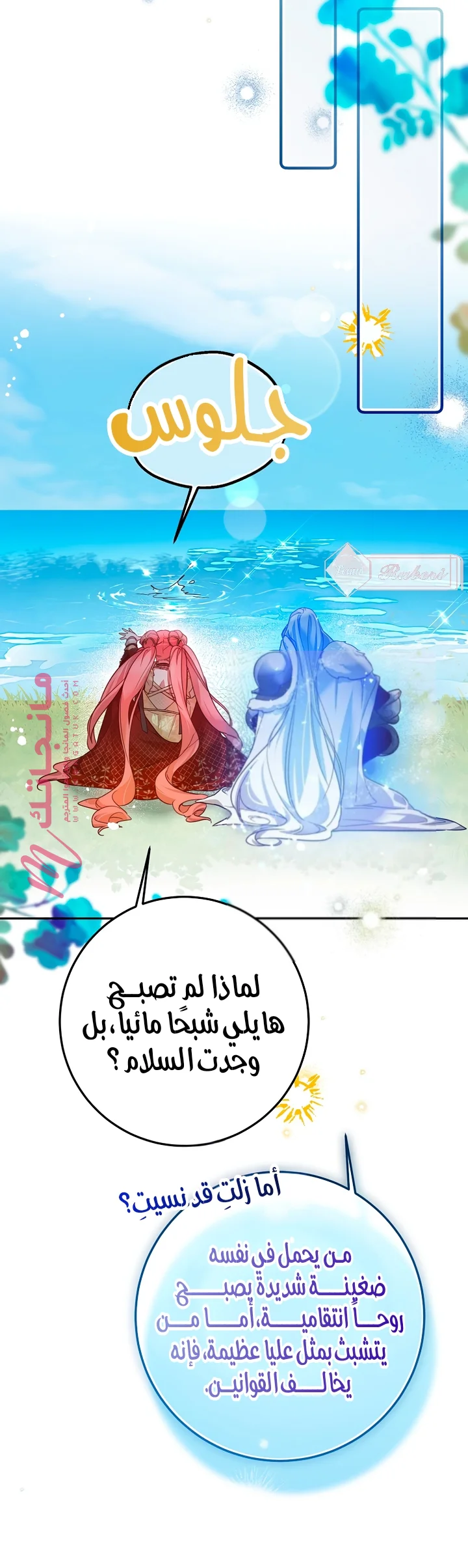 الصفحة 17
