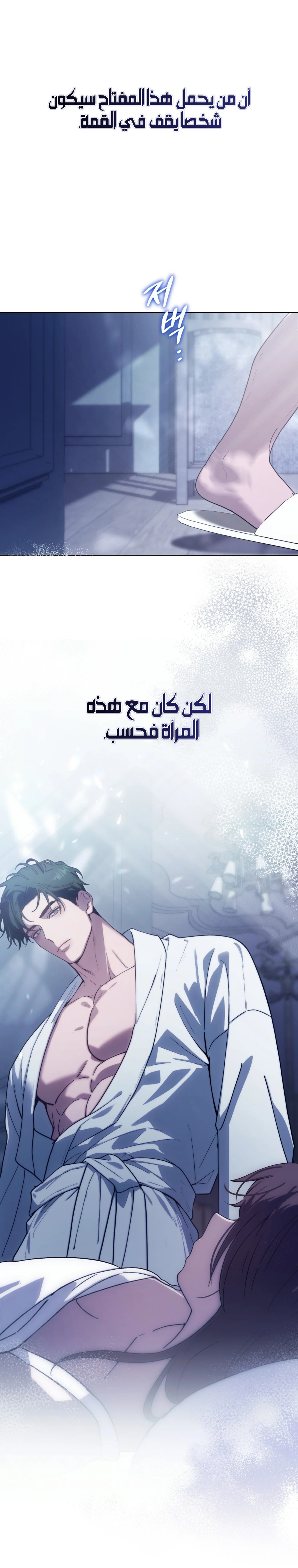 الصفحة 13