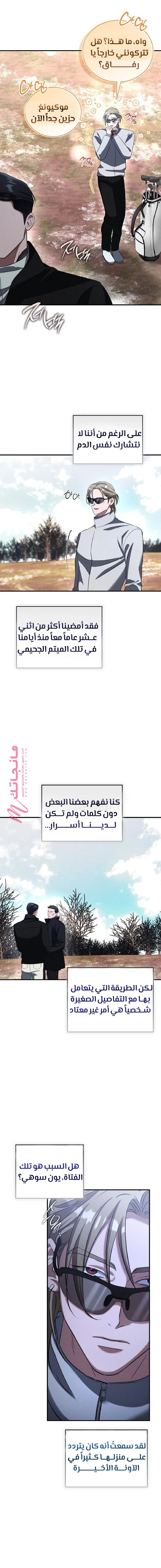 الصفحة 17